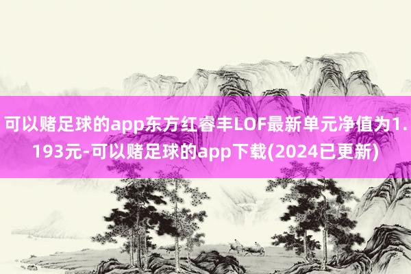 可以赌足球的app东方红睿丰LOF最新单元净值为1.193元-可以赌足球的app下载(2024已更新)