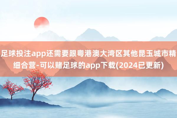 足球投注app还需要跟粤港澳大湾区其他昆玉城市精细合营-可以赌足球的app下载(2024已更新)