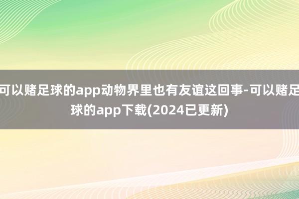 可以赌足球的app动物界里也有友谊这回事-可以赌足球的app下载(2024已更新)