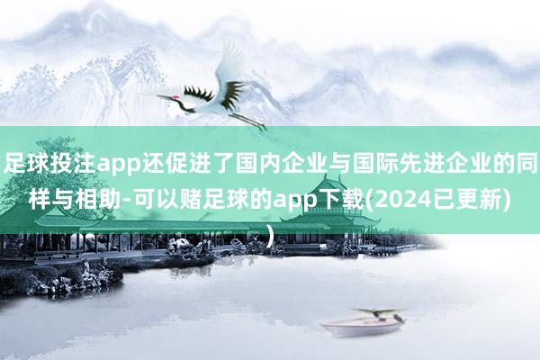 足球投注app还促进了国内企业与国际先进企业的同样与相助-可以赌足球的app下载(2024已更新)