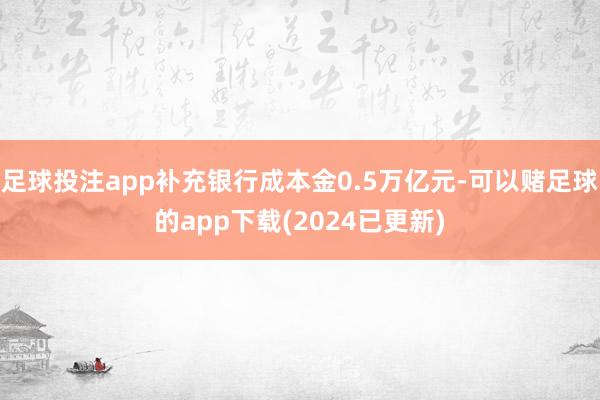 足球投注app补充银行成本金0.5万亿元-可以赌足球的app下载(2024已更新)