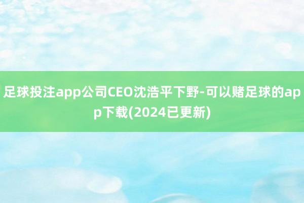 足球投注app公司CEO沈浩平下野-可以赌足球的app下载(2024已更新)