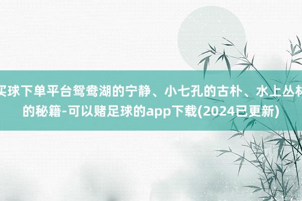买球下单平台鸳鸯湖的宁静、小七孔的古朴、水上丛林的秘籍-可以赌足球的app下载(2024已更新)