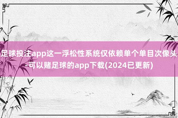 足球投注app这一浮松性系统仅依赖单个单目次像头-可以赌足球的app下载(2024已更新)