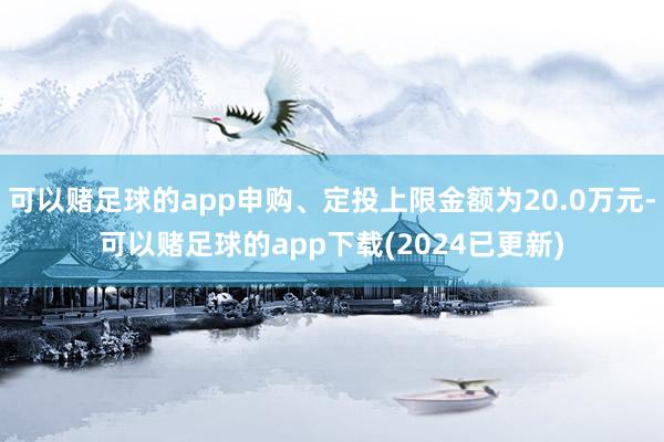 可以赌足球的app申购、定投上限金额为20.0万元-可以赌足球的app下载(2024已更新)