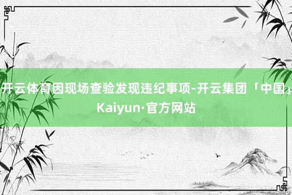 开云体育因现场查验发现违纪事项-开云集团「中国」Kaiyun·官方网站