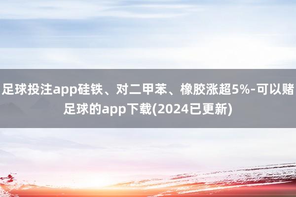 足球投注app硅铁、对二甲苯、橡胶涨超5%-可以赌足球的app下载(2024已更新)