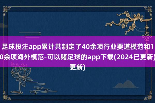 足球投注app累计共制定了40余项行业要道模范和10余项海外模范-可以赌足球的app下载(2024已更新)