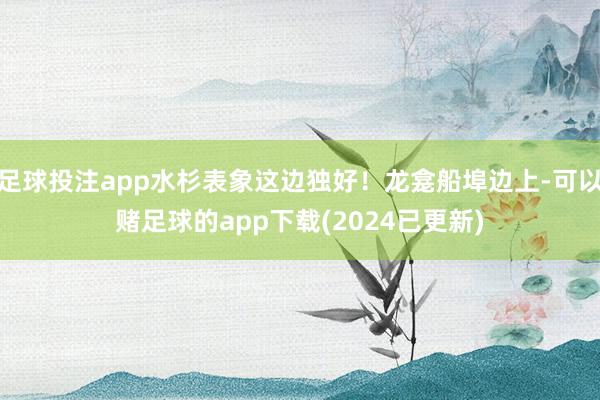 足球投注app水杉表象这边独好！龙龛船埠边上-可以赌足球的app下载(2024已更新)