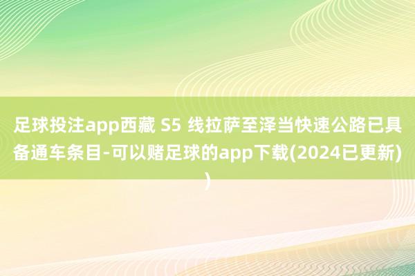 足球投注app西藏 S5 线拉萨至泽当快速公路已具备通车条目-可以赌足球的app下载(2024已更新)