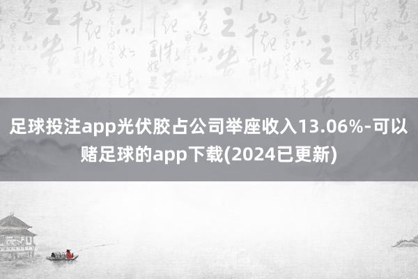 足球投注app光伏胶占公司举座收入13.06%-可以赌足球的app下载(2024已更新)