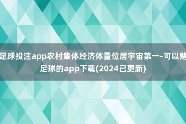足球投注app农村集体经济体量位居宇宙第一-可以赌足球的app下载(2024已更新)