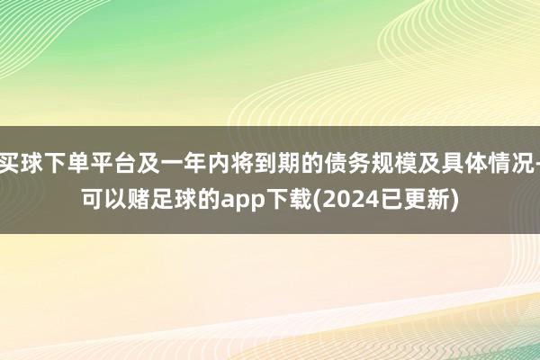 买球下单平台及一年内将到期的债务规模及具体情况-可以赌足球的app下载(2024已更新)