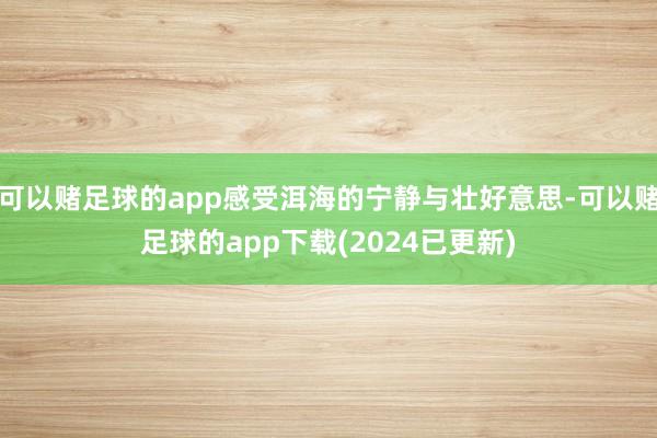 可以赌足球的app感受洱海的宁静与壮好意思-可以赌足球的app下载(2024已更新)
