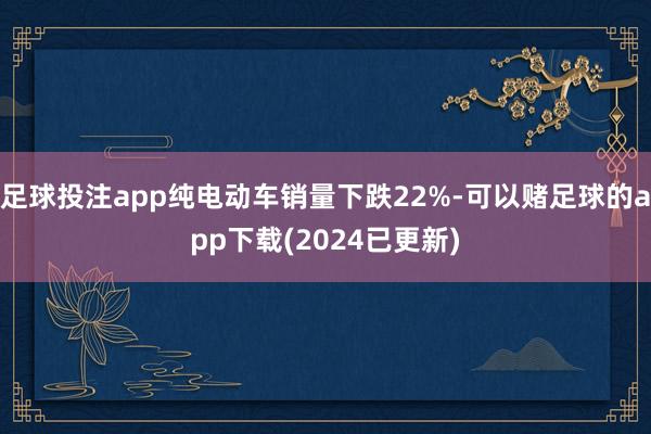 足球投注app纯电动车销量下跌22%-可以赌足球的app下载(2024已更新)