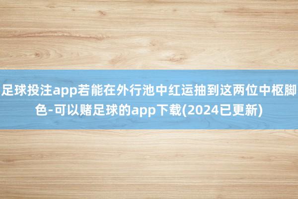 足球投注app若能在外行池中红运抽到这两位中枢脚色-可以赌足球的app下载(2024已更新)