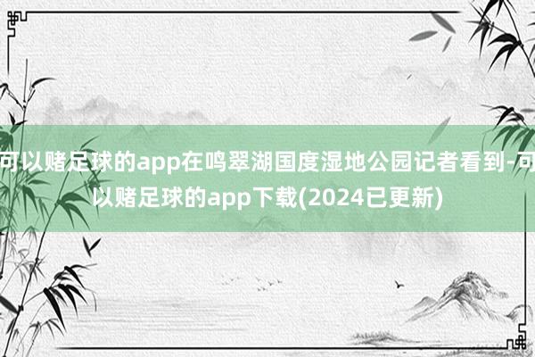 可以赌足球的app在鸣翠湖国度湿地公园记者看到-可以赌足球的app下载(2024已更新)