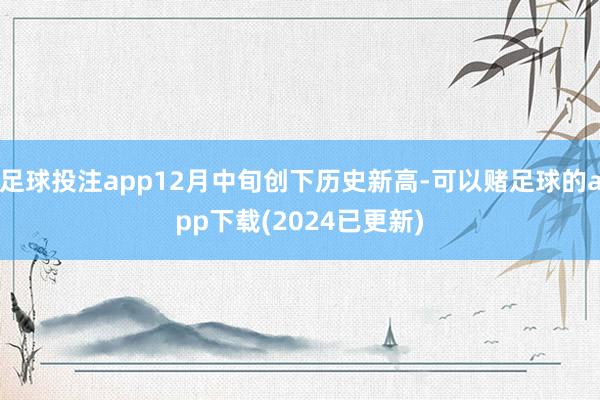 足球投注app12月中旬创下历史新高-可以赌足球的app下载(2024已更新)