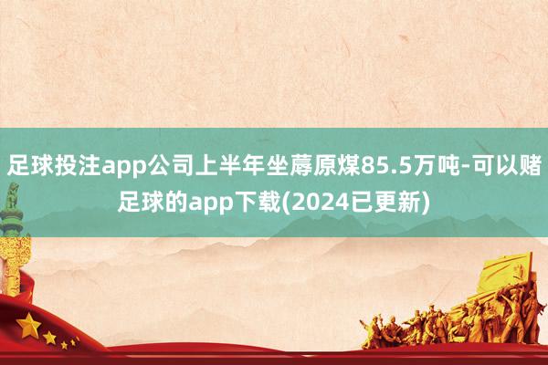 足球投注app公司上半年坐蓐原煤85.5万吨-可以赌足球的app下载(2024已更新)
