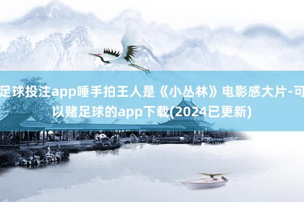 足球投注app唾手拍王人是《小丛林》电影感大片-可以赌足球的app下载(2024已更新)