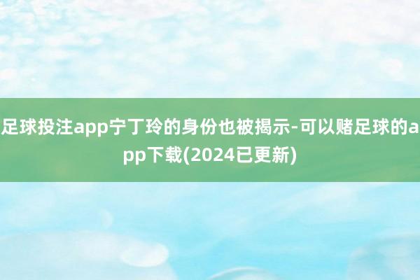 足球投注app宁丁玲的身份也被揭示-可以赌足球的app下载(2024已更新)