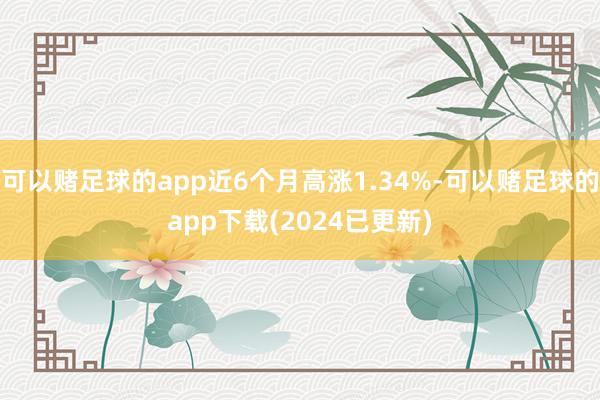 可以赌足球的app近6个月高涨1.34%-可以赌足球的app下载(2024已更新)