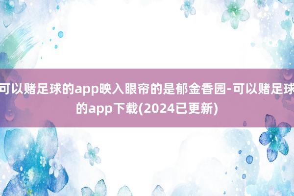 可以赌足球的app映入眼帘的是郁金香园-可以赌足球的app下载(2024已更新)