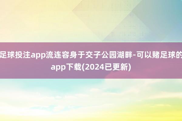 足球投注app流连容身于交子公园湖畔-可以赌足球的app下载(2024已更新)