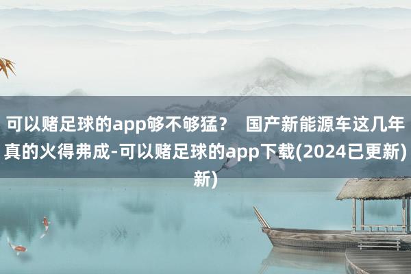 可以赌足球的app够不够猛？  国产新能源车这几年真的火得弗成-可以赌足球的app下载(2024已更新)