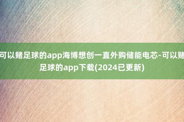 可以赌足球的app海博想创一直外购储能电芯-可以赌足球的app下载(2024已更新)