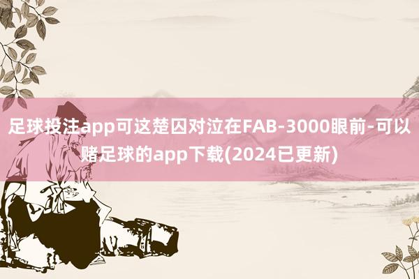 足球投注app可这楚囚对泣在FAB-3000眼前-可以赌足球的app下载(2024已更新)
