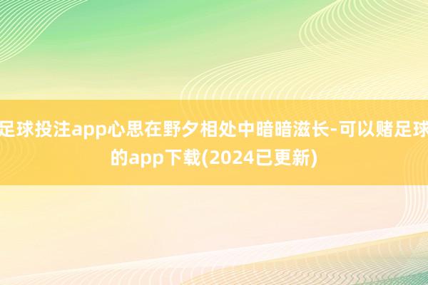 足球投注app心思在野夕相处中暗暗滋长-可以赌足球的app下载(2024已更新)
