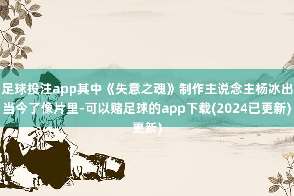 足球投注app其中《失意之魂》制作主说念主杨冰出当今了像片里-可以赌足球的app下载(2024已更新)