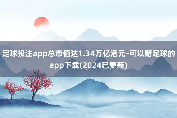 足球投注app总市值达1.34万亿港元-可以赌足球的app下载(2024已更新)