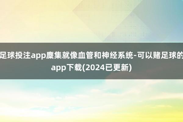 足球投注app麇集就像血管和神经系统-可以赌足球的app下载(2024已更新)
