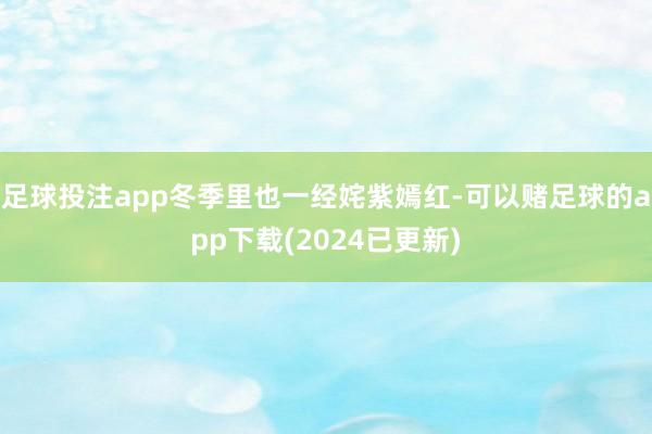 足球投注app冬季里也一经姹紫嫣红-可以赌足球的app下载(2024已更新)
