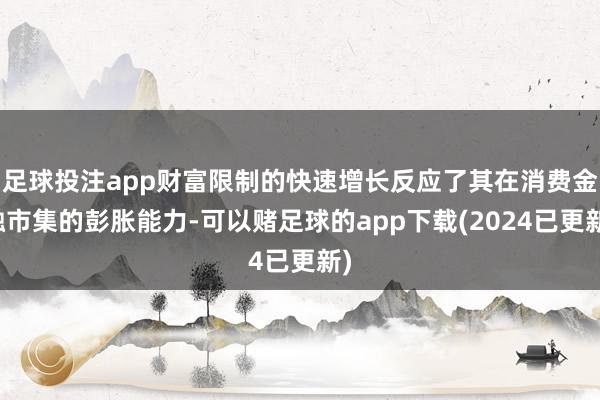 足球投注app财富限制的快速增长反应了其在消费金融市集的彭胀能力-可以赌足球的app下载(2024已更新)
