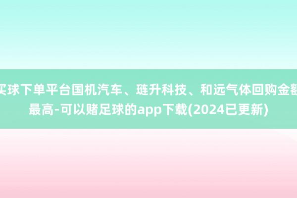 买球下单平台国机汽车、琏升科技、和远气体回购金额最高-可以赌足球的app下载(2024已更新)