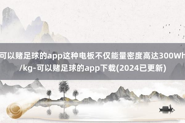 可以赌足球的app这种电板不仅能量密度高达300Wh/kg-可以赌足球的app下载(2024已更新)