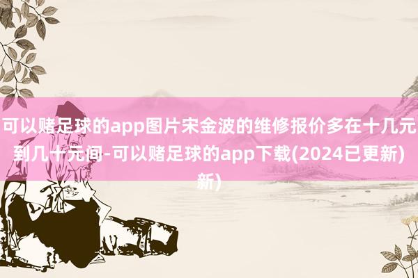 可以赌足球的app图片宋金波的维修报价多在十几元到几十元间-可以赌足球的app下载(2024已更新)