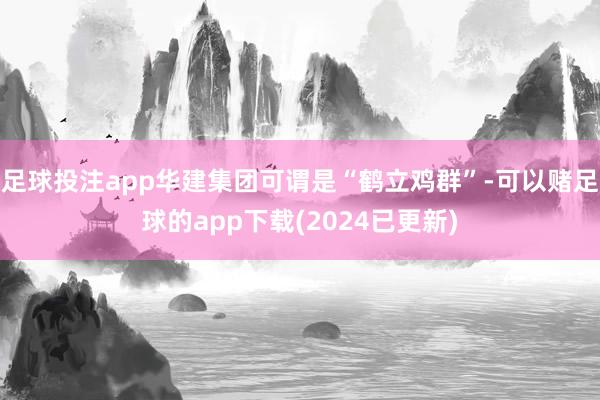 足球投注app华建集团可谓是“鹤立鸡群”-可以赌足球的app下载(2024已更新)