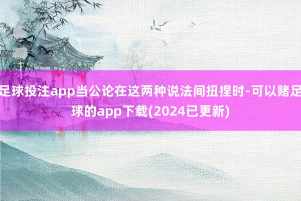 足球投注app当公论在这两种说法间扭捏时-可以赌足球的app下载(2024已更新)