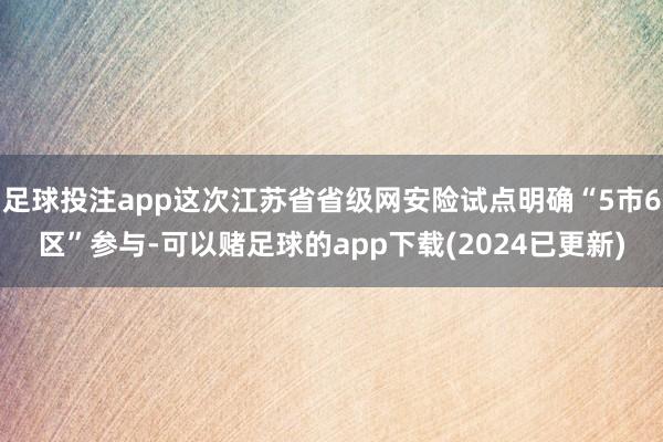 足球投注app这次江苏省省级网安险试点明确“5市6区”参与-可以赌足球的app下载(2024已更新)