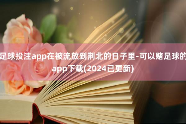 足球投注app在被流放到荆北的日子里-可以赌足球的app下载(2024已更新)