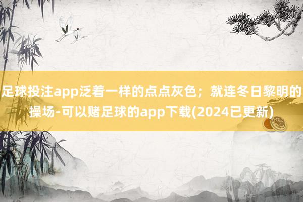 足球投注app泛着一样的点点灰色；就连冬日黎明的操场-可以赌足球的app下载(2024已更新)