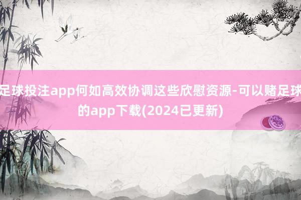 足球投注app何如高效协调这些欣慰资源-可以赌足球的app下载(2024已更新)
