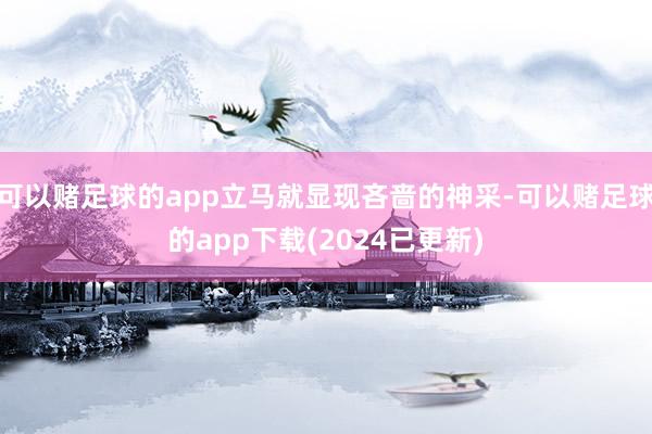 可以赌足球的app立马就显现吝啬的神采-可以赌足球的app下载(2024已更新)
