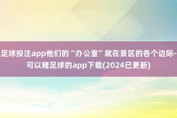 足球投注app他们的“办公室”就在景区的各个边际-可以赌足球的app下载(2024已更新)