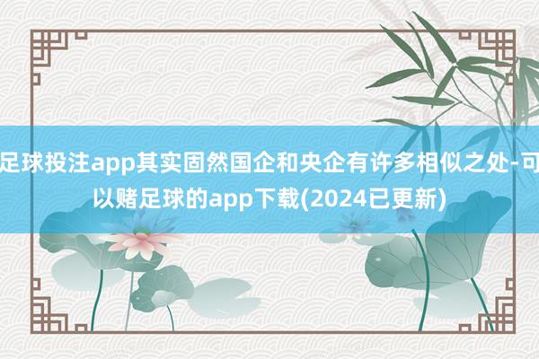 足球投注app其实固然国企和央企有许多相似之处-可以赌足球的app下载(2024已更新)