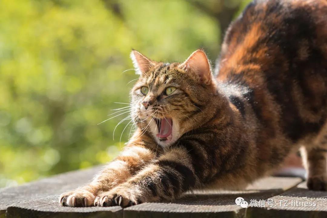 微信图片_20210820093418.jpg 微信图片_20210820093418.jpg